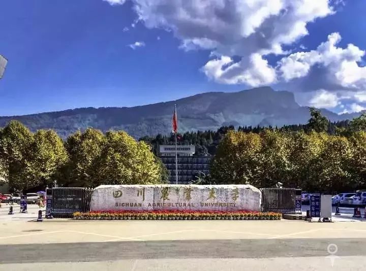 你好我是川农今年我希望是你的川农