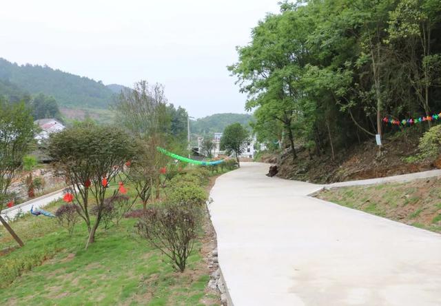 最美旗帜冷朝刚让青杠坝村1000多村民信任的领路人