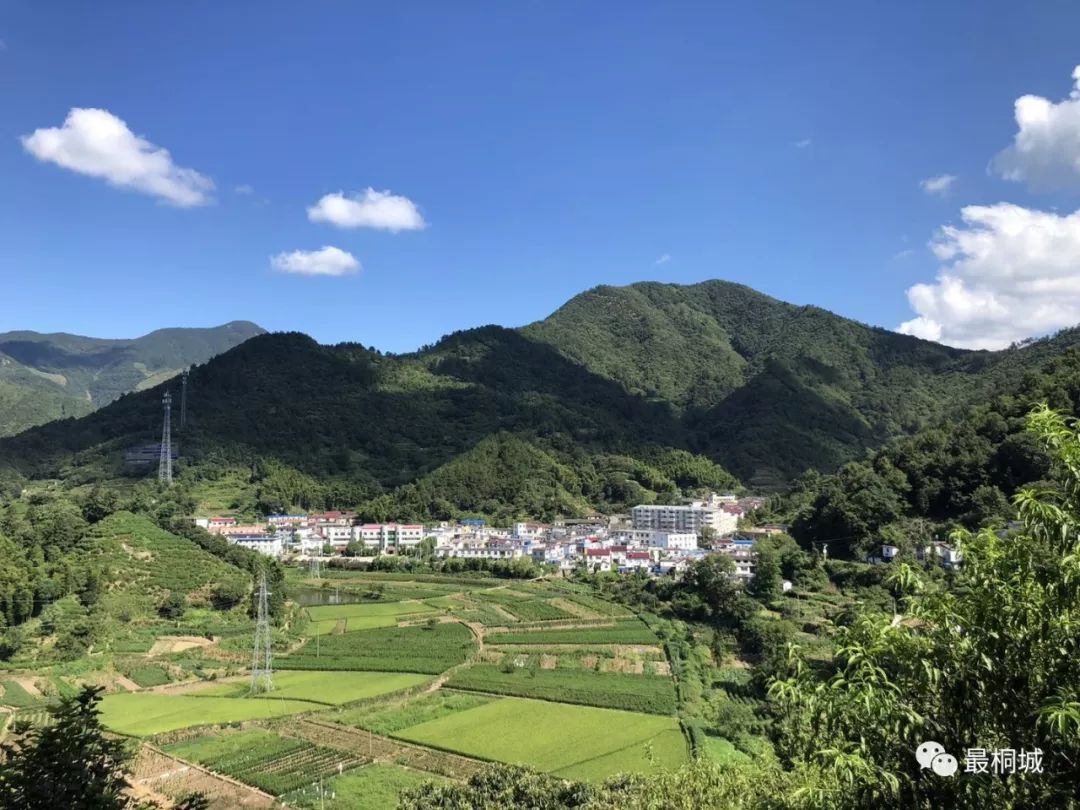 乡土桐城唐湾村森林村庄与传统村落相映生辉