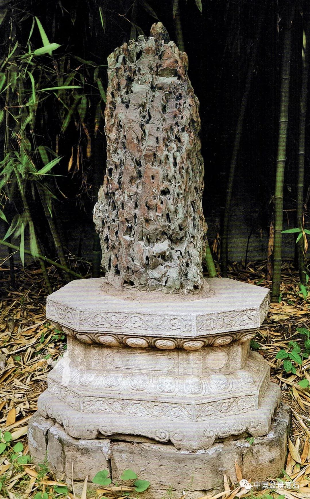 明代 笋石 藏于紫禁城(四)林有麟的《素园石谱》林有麟(1578