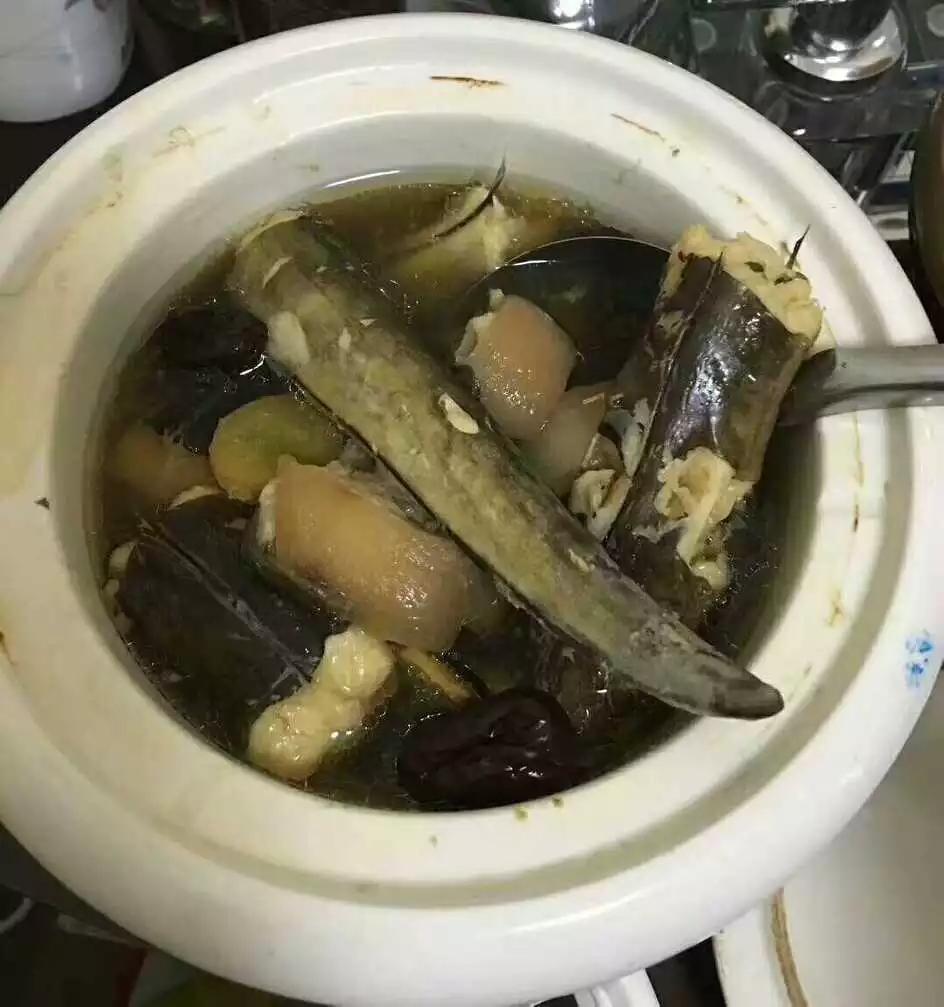 土龙不是龙，但可是好东西！这些年来真正野生的土龙有时那是重金难求_鳗鱼