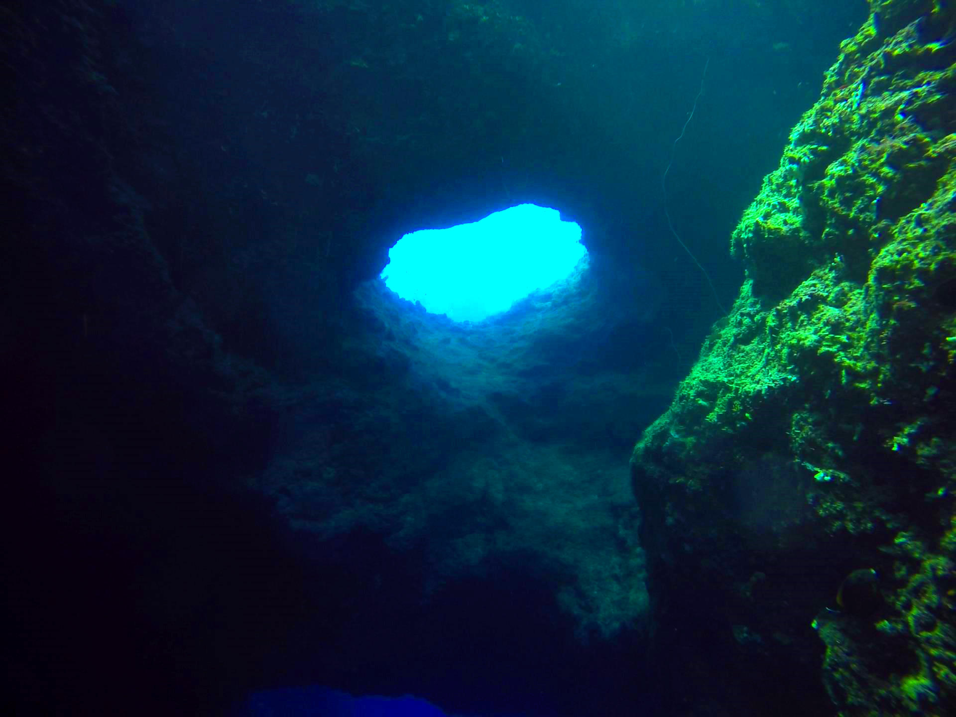 阿毛梦游帕劳仙境第三篇蓝洞探秘蓝角风暴