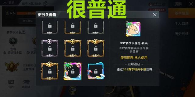 ss2赛季手册头像框曝光,暗夜危机头像框已解锁,网友:太丑了