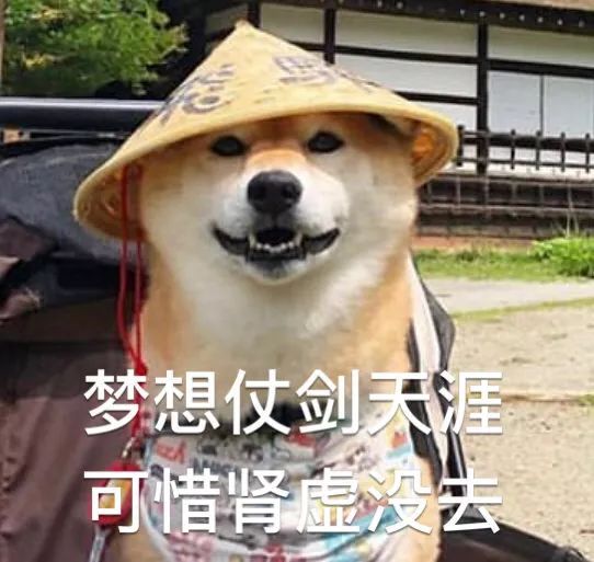 后来剑还给照相馆了,没去@无与同曾梦想仗剑走天涯.