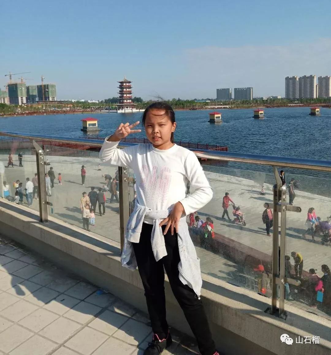 诗歌 | 陈晓晨:蚂蚁