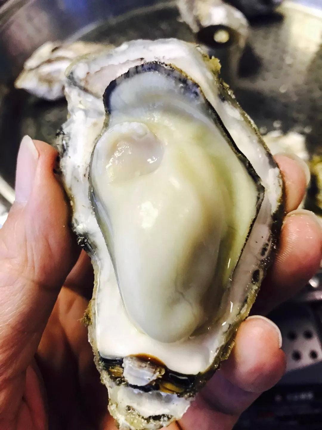 网红高压锅生蚝个大鲜嫩博士生蚝乳山生蚝