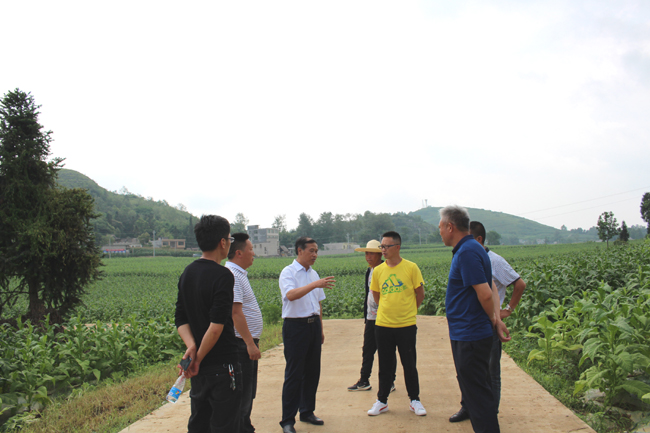市县帮扶指挥部指挥长蒋从跃率锅圈岩乡领导干部到大方县黄泥塘镇考察
