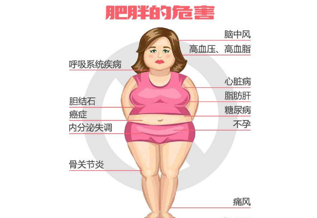 肥胖的六大类型图图片