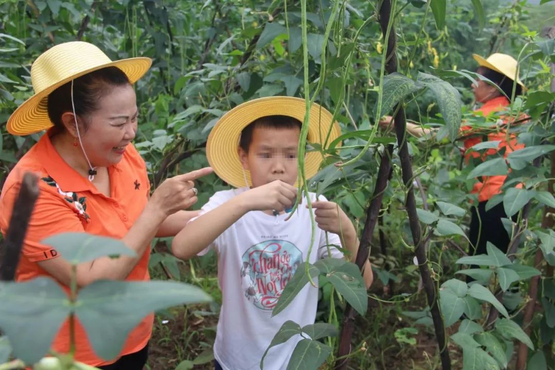 社会工作市儿童福利院开展第一届亲子采摘节主题活动
