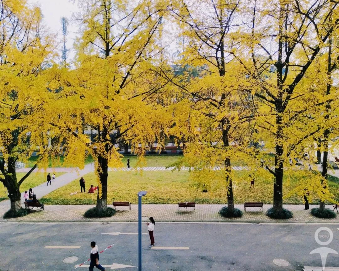 你好我是川农今年我希望是你的川农