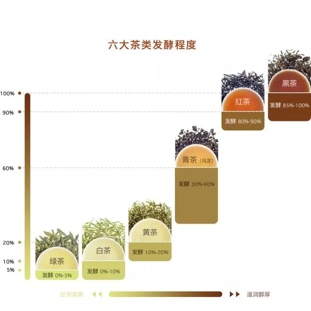 茶叶底的秘密：揭秘熟茶叶底的魅力