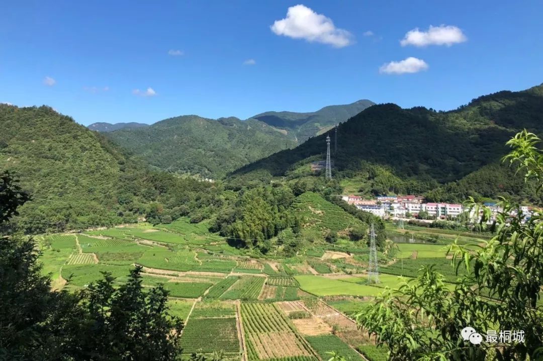 乡土桐城唐湾村森林村庄与传统村落相映生辉