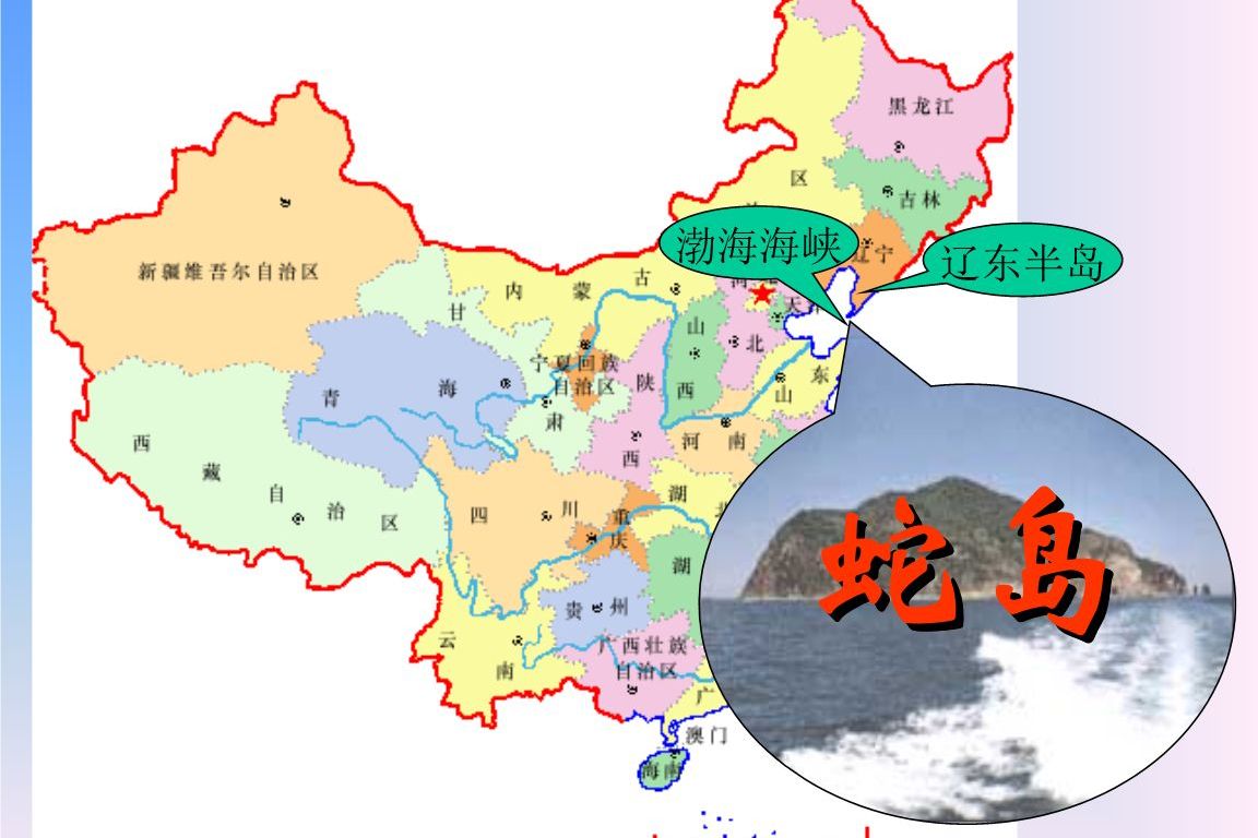 蛇岛为何只有蝮蛇