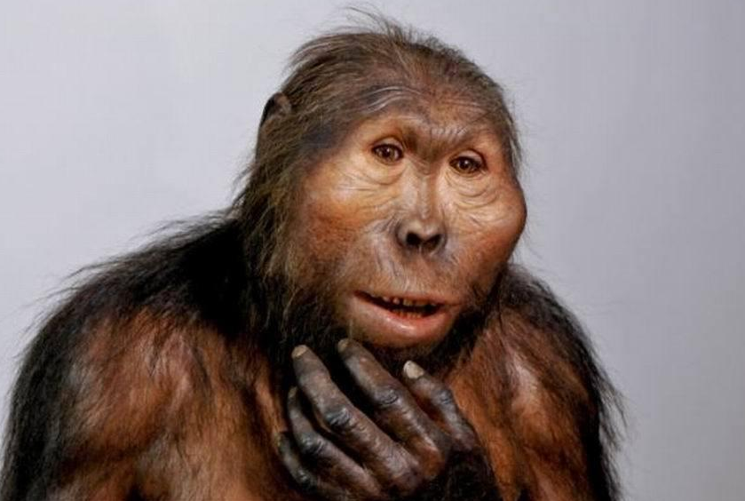 不要小瞧人类我们是40亿进化史唯一活下来的顶尖智慧生物