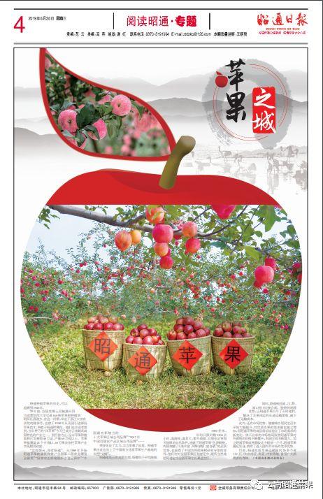 秋城昭通苹果之城