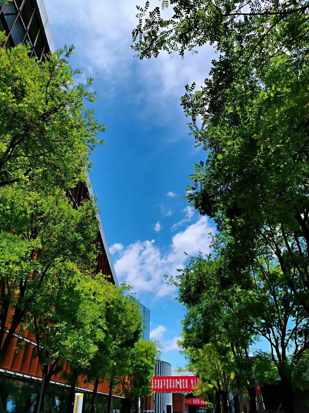 熙攘大概就是因为它湛蓝的天空如果一座城市让你如此迷恋qingbaijiang