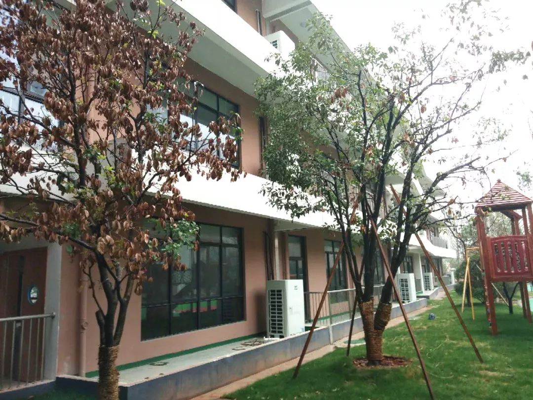 工程案例丨教育要从娃娃抓起,奥克斯服务闲林中心幼儿园