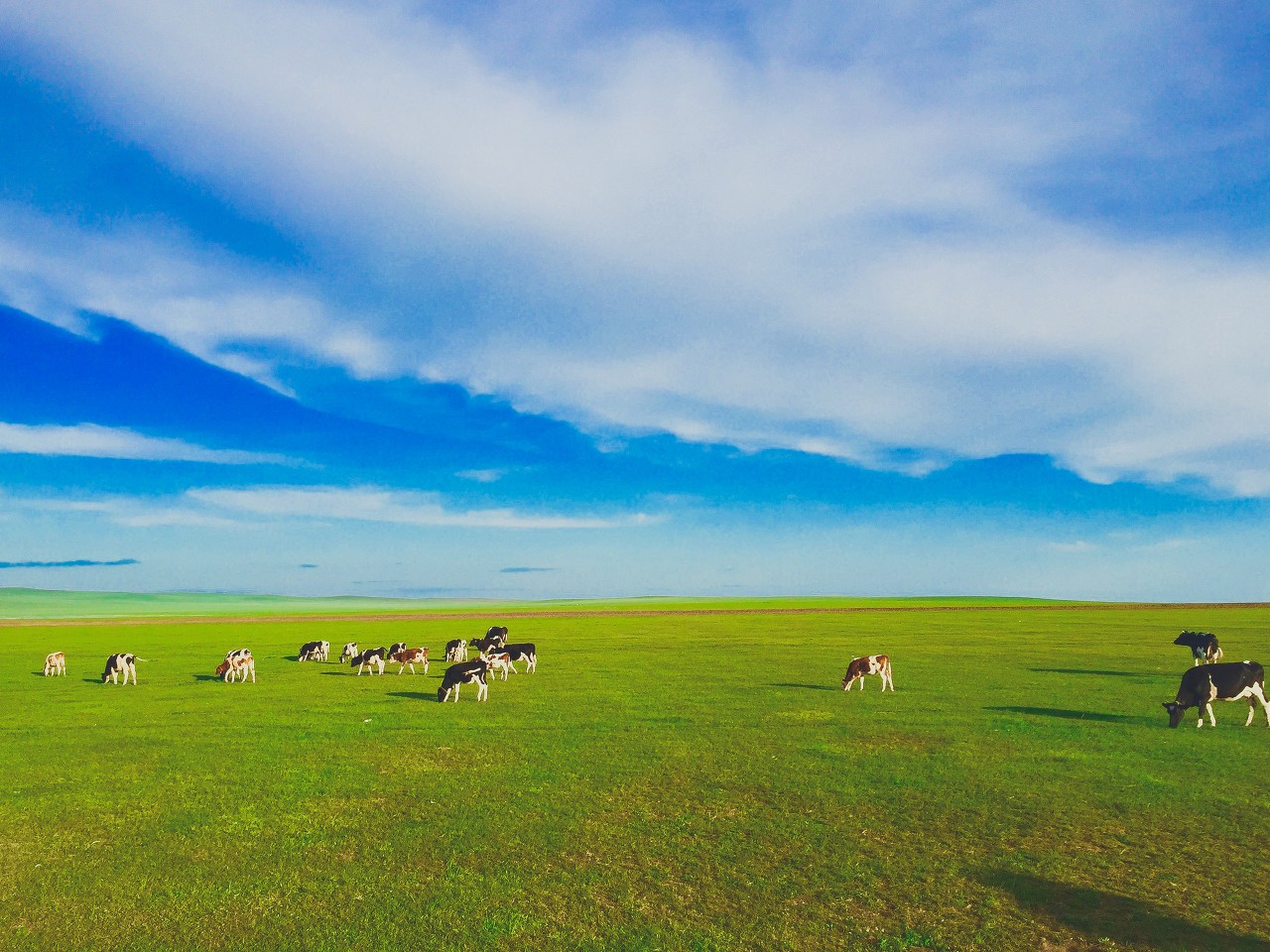 遥望呼伦贝尔美丽的大草原,我想起了成吉思汗,想起了在血雨腥风中厮杀