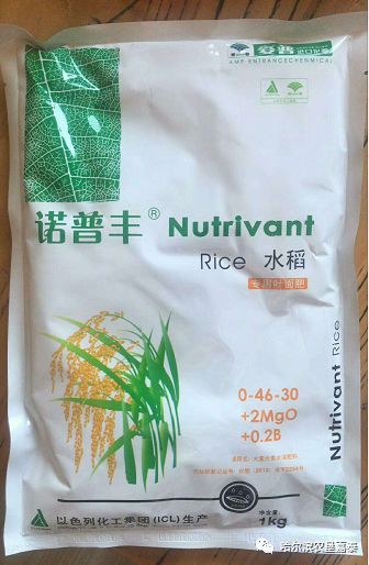 近期雨水偏多,水稻易诱发赤枯病,不会控防减产30%!