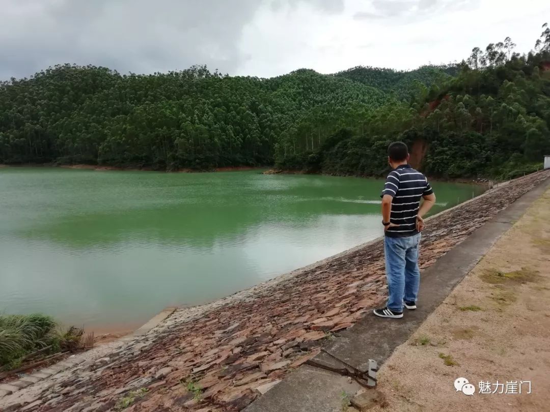 (镇委副书记张晓东巡查灯心坑山塘,马场山塘,榕树底水库,银湖湾海堤