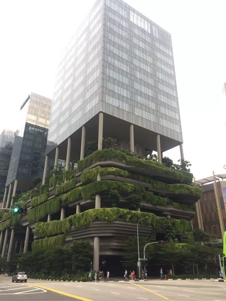绿色建筑也不一定都是"绿色的"(外面挂满绿植)绿毛墙~↓随着海绵城市