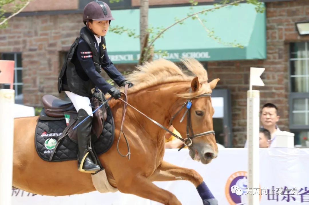 2019法国galop马术夏令营//马背上的公主王子养成记