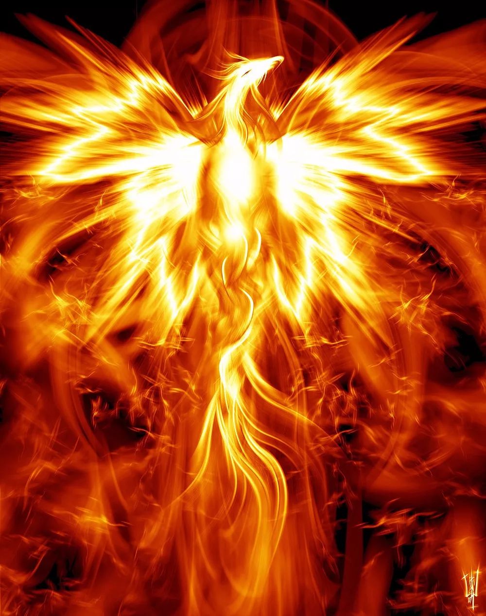 凤凰在历经烈火的洗礼后焕发新生,它体现出一种不屈不挠的奋斗精神