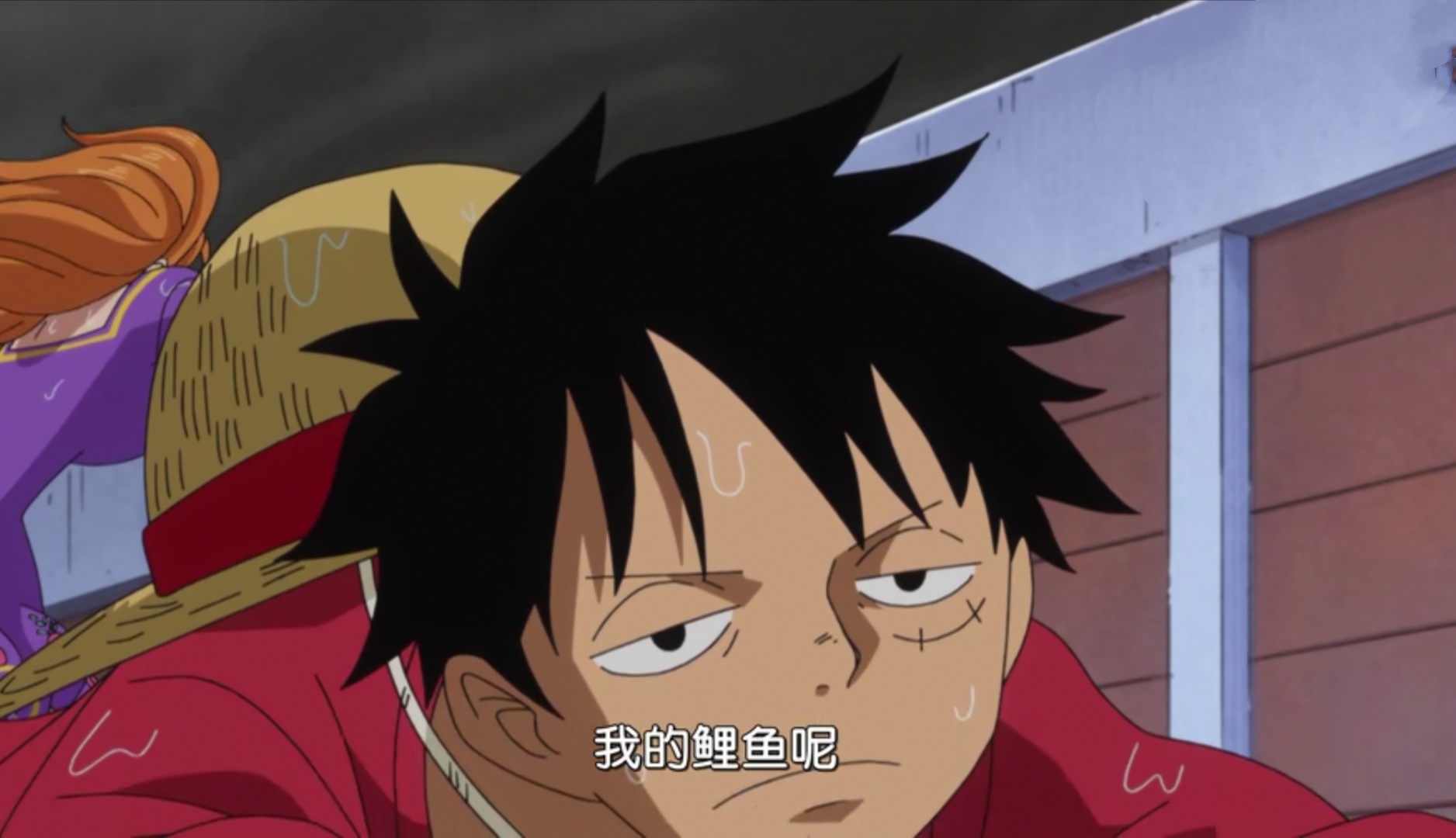 原创海贼王891集娜美真的很强会用海军六式中的剃一拳打倒路飞