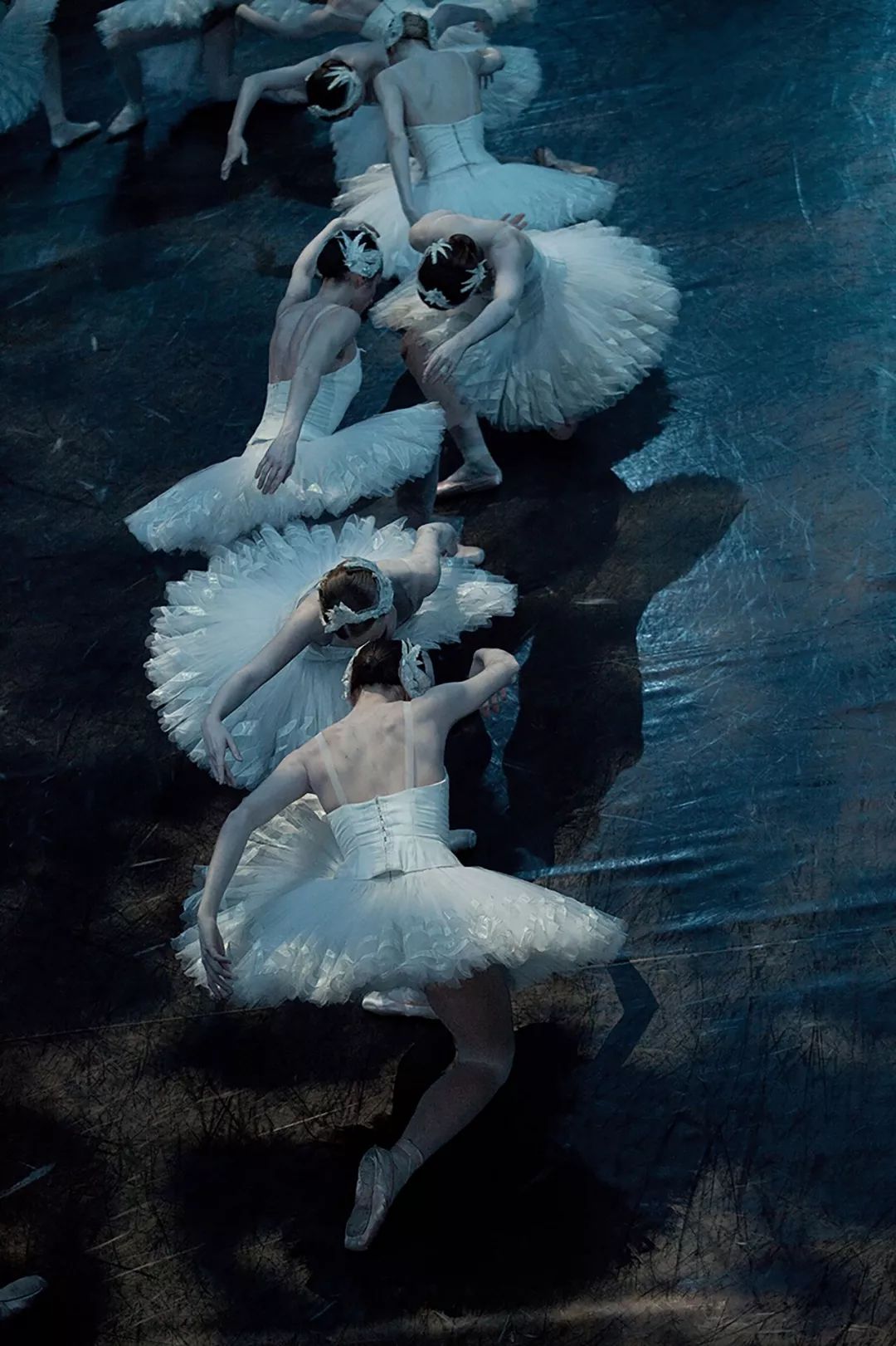 《天鹅湖》首演回顾 | pob芭蕾大师讲述努里耶夫的"王子灵魂"