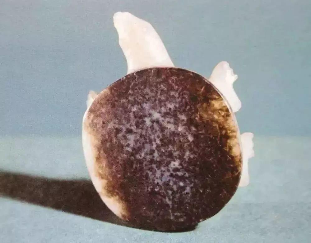 商 俏色玉鳖 河南安阳殷墟小屯村出土