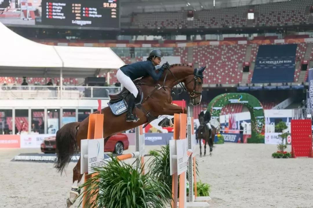 2019法国galop马术夏令营//马背上的公主王子养成记