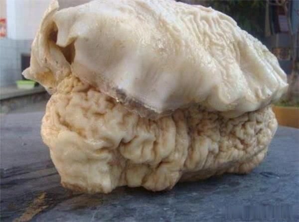 中国太岁的真身传说延年益寿你们知道它是啥东西吗