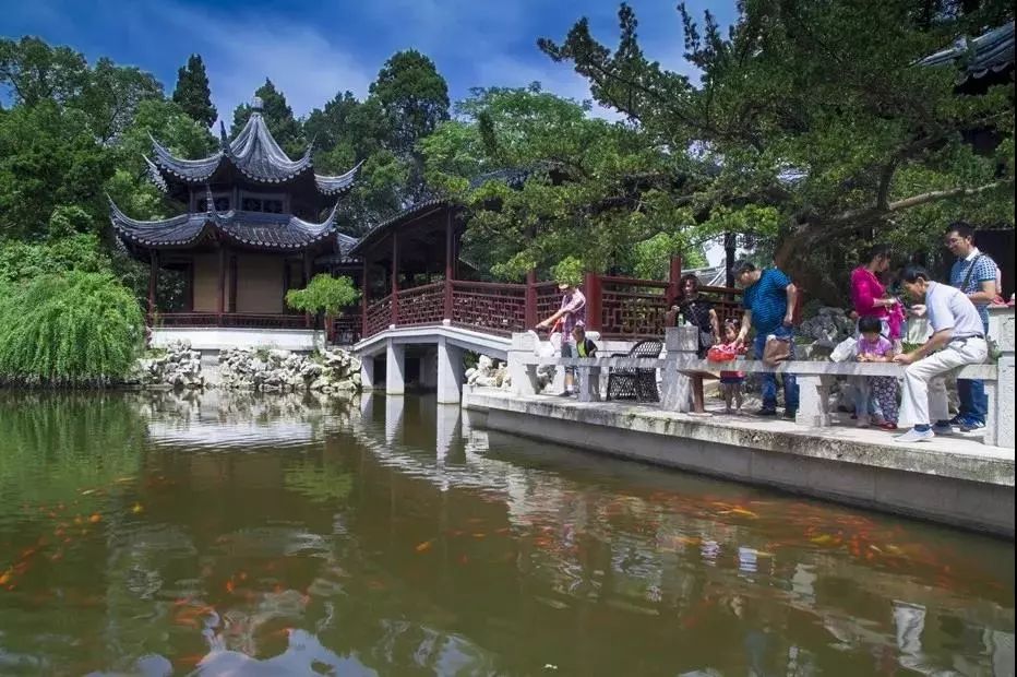 南通孩子的暑假从这些繁华灿烂绿植葱郁的园林开始