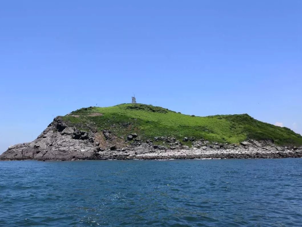 南澎科考记保护海洋我们一直在路上