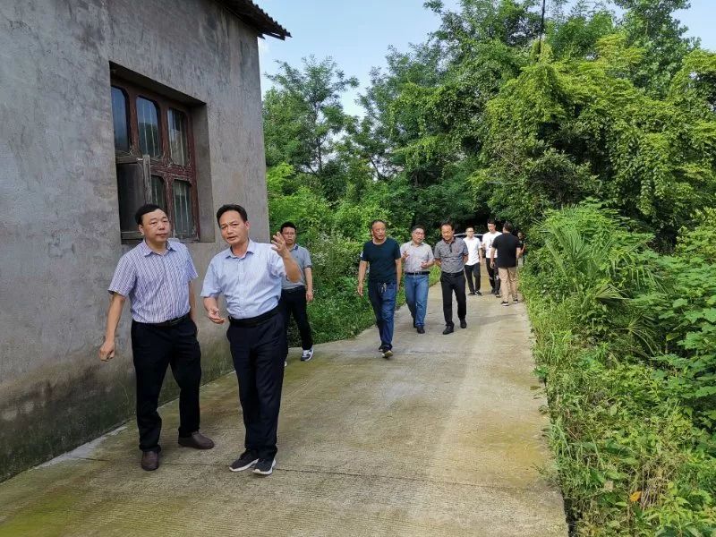 江山市贺村镇长图片