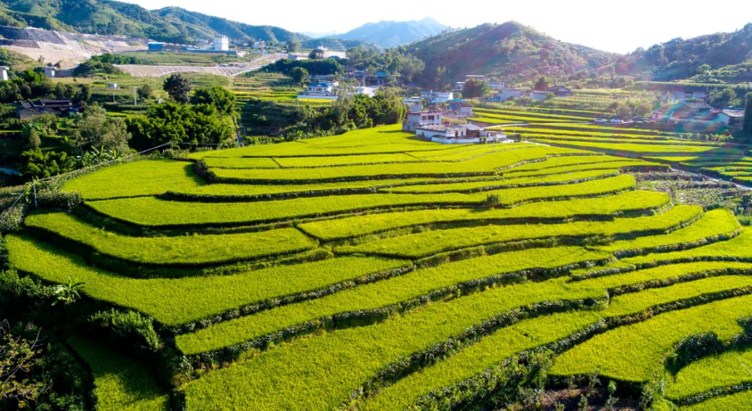 攀枝花将有大动作投资35亿助农产品走出去