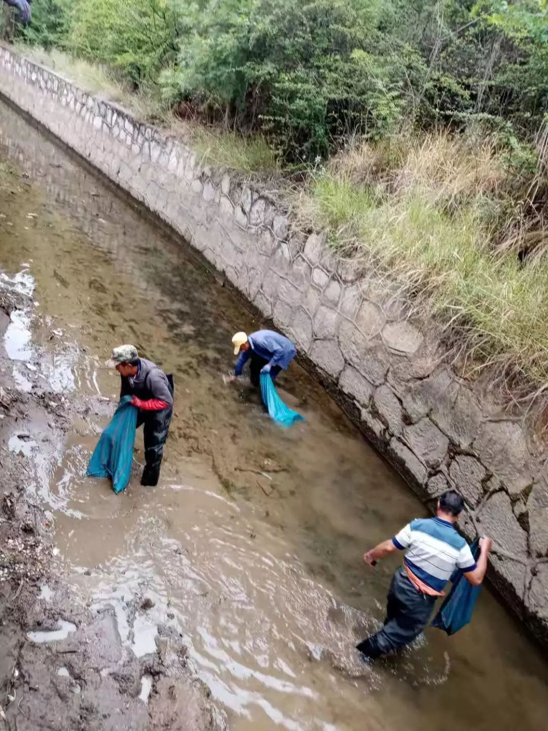 初期雨水防控和处置情况速报四