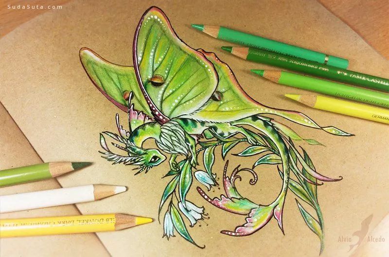 她非科班出身却创造出一个极致的彩铅世界这画功绝了