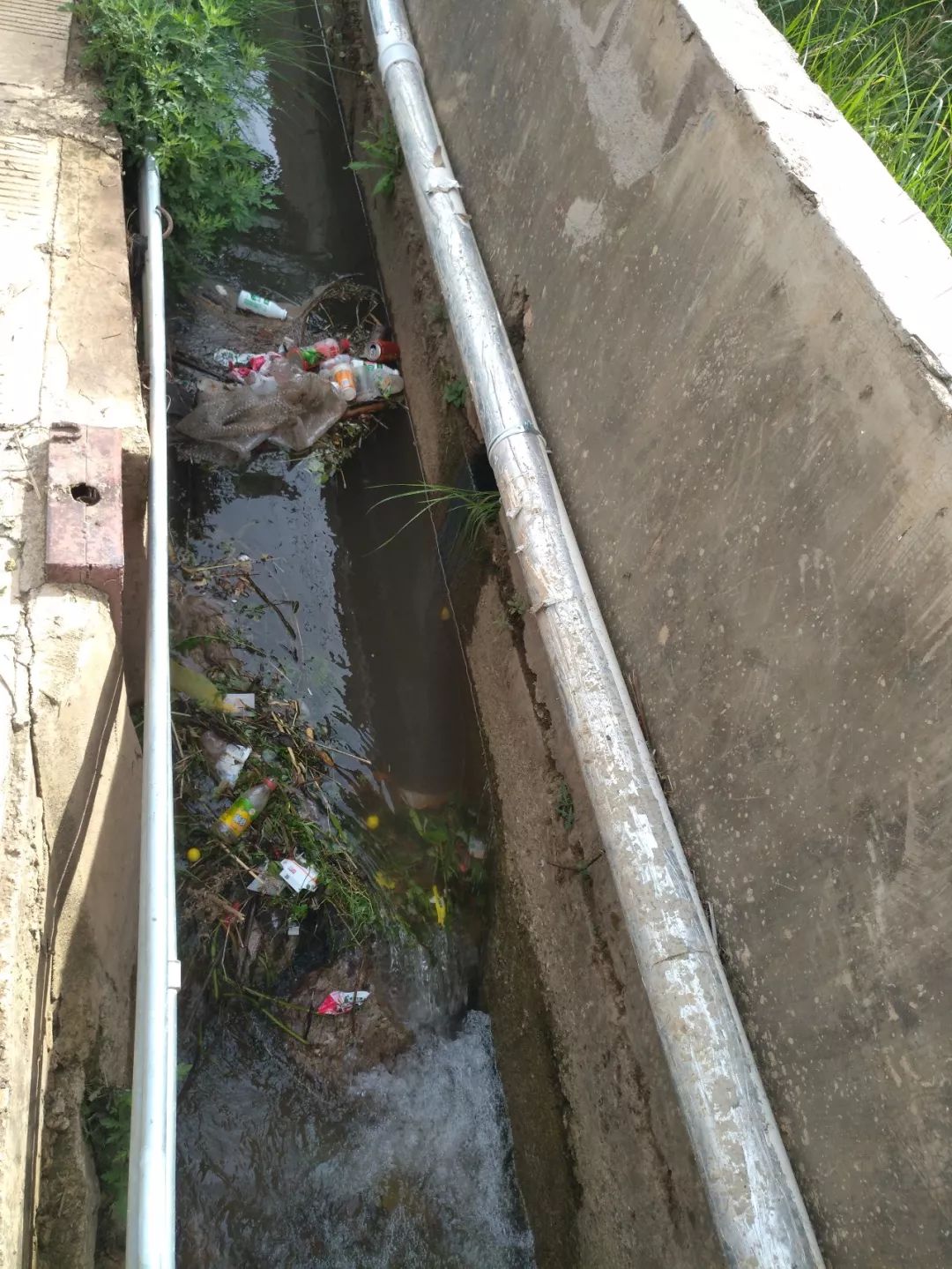 初期雨水防控和处置情况速报五