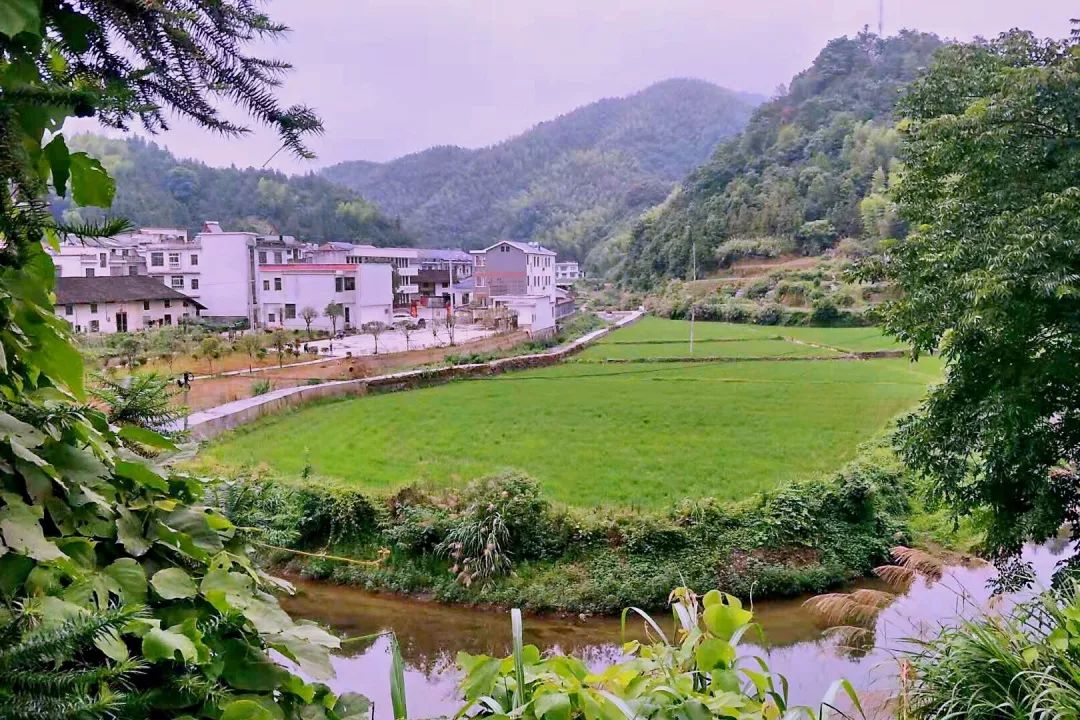 农村人居环境整治搞得好平江这8个村获市表彰