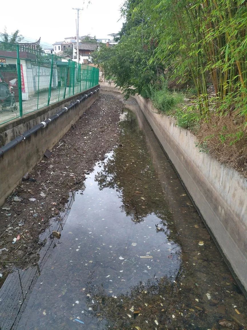 初期雨水防控和处置情况速报四