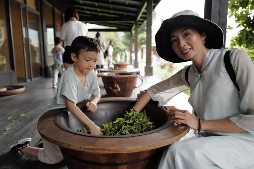 英德寻茶之旅茶艺人生不仅是寻茶