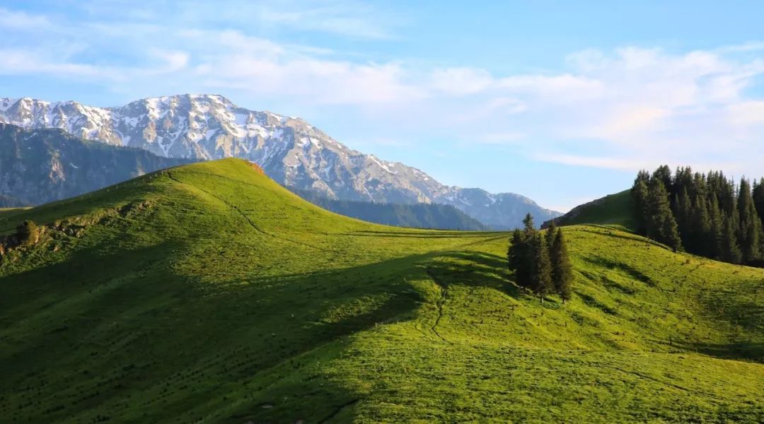 暑假新疆一生必去一次新疆伊犁感受草原雪山與花海的相約7月1320號