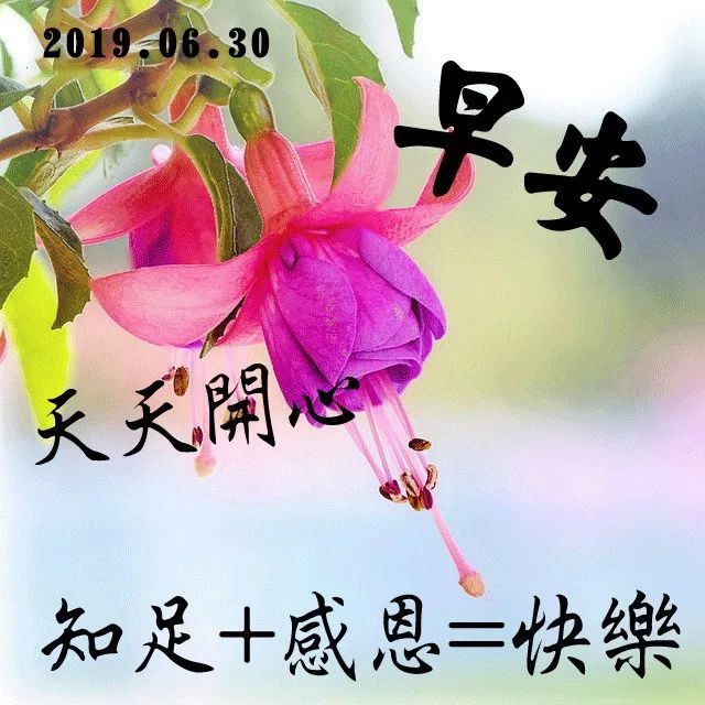 微信早上好祝福短信大全早上好漂亮問候祝福語圖片動態美圖