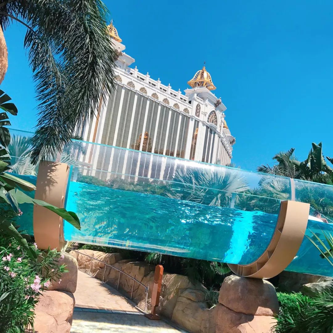 网红的泳池照为什么就是拍得比你美