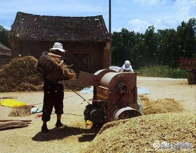 晋城沁水割麦子纪实渐行渐远的麦收场景