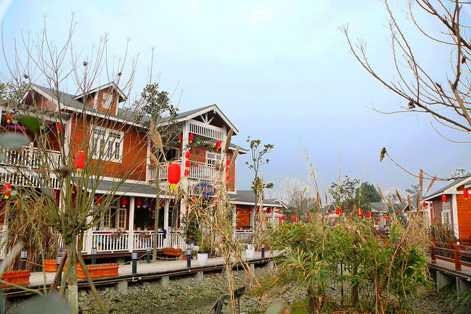 青杠树村考察接待方案联系预约