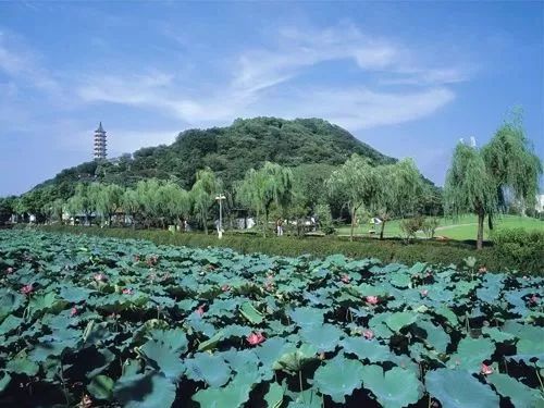 招寶山位於鎮海區東北面甬江口岸,是寧波十大風景遊覽區之一,素有