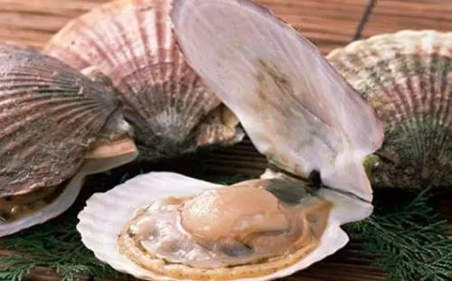 东营最强海鲜图鉴！68种常见海鲜，大饱口福！_zhu