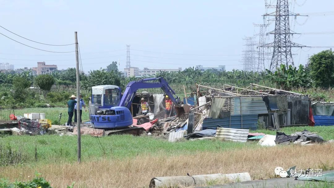 道滘镇大鱼沙村开展违章搭建窝棚清拆行动